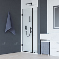 Детальная картинка товара «душевая дверь rgw hotel ho-012b 1200 мм easy clean черный 350601212-14»