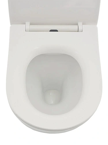 Унитаз подвесной AQUAme AQM2001 с сиденьем SoftClose, технология смыва Rimless, скрытый крепеж 515x3 Унитаз подвесной AQUAme AQM2001 с сиденьем SoftClose, технология смыва Rimless, скрытый крепеж 515x3