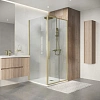 Душевой уголок Niagara Nova NG-44-9ASG-A100SG-34 (90х100х195) прямоугольник, раздвижная, золото сатин, стекло прозрачное Душевой уголок Niagara Nova NG-44-9ASG-A100SG-34 (90х100х195) прямоугольник, раздвижная, золото сатин, стекло прозрачное