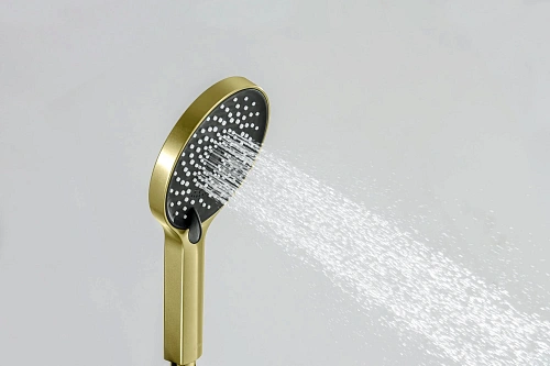 Душевая лейка Aquatek Лугано AQ2201BG золото шлифованное Душевая лейка Aquatek Лугано AQ2201BG золото шлифованное
