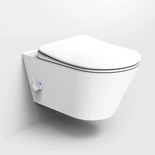 Унитаз подвесной Boheme Avva 972-2-MW с функцией биде белый матовый без сиденья Унитаз подвесной Boheme Avva 972-2-MW с функцией биде белый матовый без сиденья