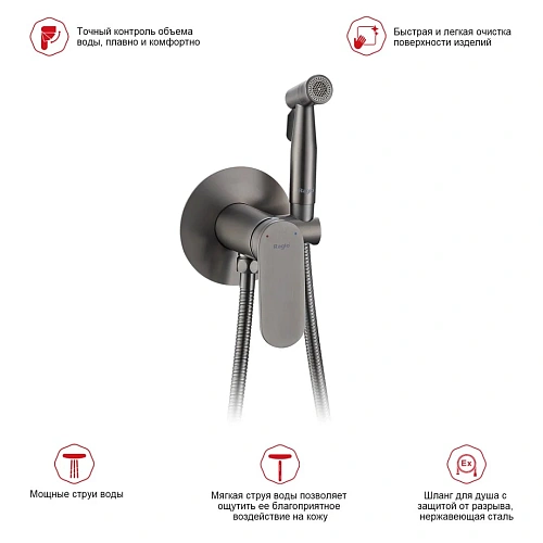 Гигиенический душ Raglo R10.52.09 встраиваемый, графит Гигиенический душ Raglo R10.52.09 встраиваемый, графит