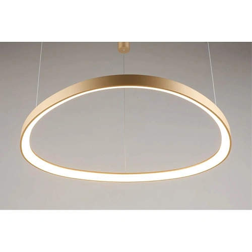 Люстра подвесная Aployt Zula APL.022.03.60 Люстра подвесная Aployt Zula APL.022.03.60