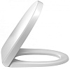 Крышка-сиденье Jacob Delafon Odeon Up E70011-00 с микролифтом