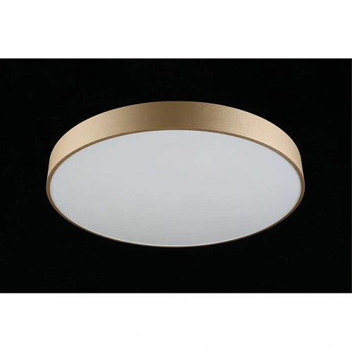 Светильник настенно-потолочный Aployt Virzhini APL.023.07.68 Светильник настенно-потолочный Aployt Virzhini APL.023.07.68