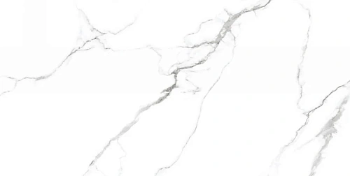 Керамогранит Neodom Ambassador Mckinley Glossy 60x120 CV20222 Керамогранит Neodom Ambassador Mckinley Glossy 60x120 CV20222