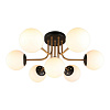 Люстра потолочная Aployt Ewka APL.906.17.07