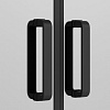 Душевая дверь Ambassador Forsa 17021219AB (1300x2000) Душевая дверь Ambassador Forsa 17021219AB (1300x2000)