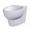 Биде подвесное Am.Pm Serenity C403411WH