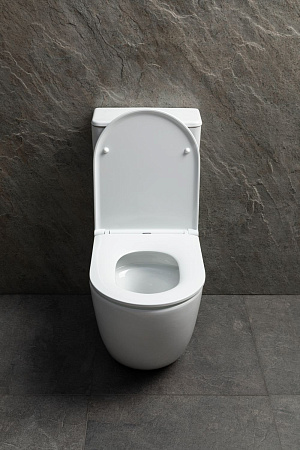 Чаша напольного унитаза Allen Brau Priority Tornado 4.31006.20 с крышкой, белый глянец