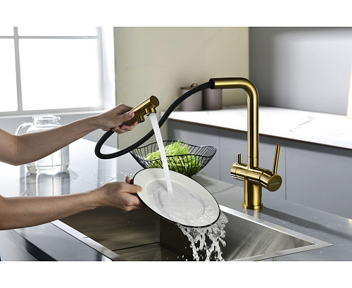 Смеситель для кухни Paulmark SERPENTINE брашированное золото Se213222-BG Смеситель для кухни Paulmark SERPENTINE брашированное золото Se213222-BG