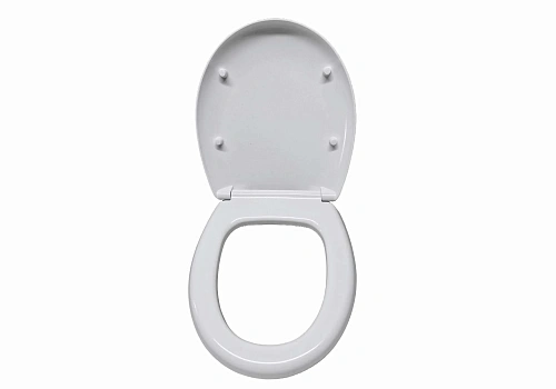 Крышка-сиденье Aquatek Альтаир AQ0198-00 белый Крышка-сиденье Aquatek Альтаир AQ0198-00 белый