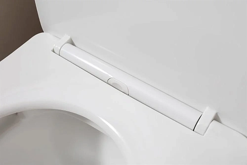 Чаша напольного унитаза Aquanet Rimless Cetus 2.0 C1 LX-2903 с сиденьем Чаша напольного унитаза Aquanet Rimless Cetus 2.0 C1 LX-2903 с сиденьем