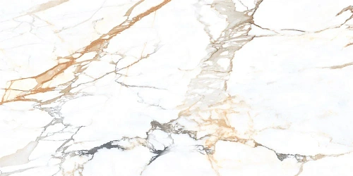 Керамогранит NT Ceramic Marmo NTT99605M 60x120 Керамогранит NT Ceramic Marmo NTT99605M 60x120