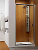 Картинка анонса товара «душевая дверь radaway premium plus dwj 120 33313-01-08n»