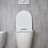 Унитаз подвесной Gid Tr2122b 62256Y белый 53.5x36x35 с крышкой микролифт Унитаз подвесной Gid Tr2122b 62256Y белый 53.5x36x35 с крышкой микролифт