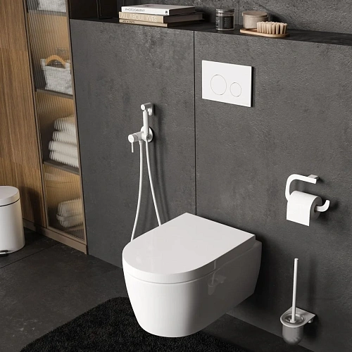 Инсталляция для унитаза WasserKRAFT Dinkel 58TLT.010.ME.WM02 с клавишей смыва белый Инсталляция для унитаза WasserKRAFT Dinkel 58TLT.010.ME.WM02 с клавишей смыва белый