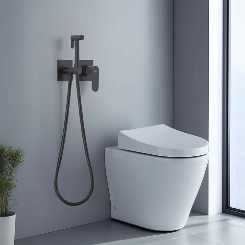 Гигиенический душ Aquatek ОБЕРОН AQ1220MB Черный матовый, встраиваемый Гигиенический душ Aquatek ОБЕРОН AQ1220MB Черный матовый, встраиваемый