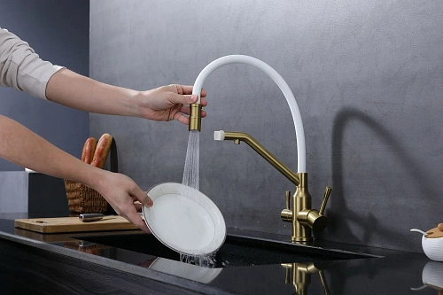 Смеситель для кухни Raglo R81.62.03 с гибким изливом с подключением к фильтру, золотой сатин Смеситель для кухни Raglo R81.62.03 с гибким изливом с подключением к фильтру, золотой сатин