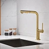 Смеситель для кухни Paulmark Neo брашированное золото Ne214419-BG Смеситель для кухни Paulmark Neo брашированное золото Ne214419-BG