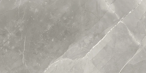 Керамогранит Neodom Supreme Fior Di Bosco Polished 60x120 N70005 Керамогранит Neodom Supreme Fior Di Bosco Polished 60x120 N70005