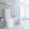 Биде напольное Duravit Pura Vida 2247100000 Биде напольное Duravit Pura Vida 2247100000