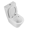 Унитаз напольный BelBagno FLAY-TOR BB2149CP-TOR/BB2149T/BB2111SC безободковый с сиденьем Унитаз напольный BelBagno FLAY-TOR BB2149CP-TOR/BB2149T/BB2111SC безободковый с сиденьем