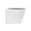 Унитаз подвесной BelBagno FLAY-R BB053CHR/BB870SC безободковый с сиденьем Унитаз подвесной BelBagno FLAY-R BB053CHR/BB870SC безободковый с сиденьем