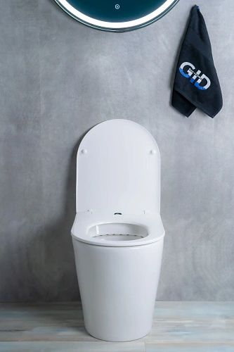 Унитаз приставной Gid TRS-263 62211Y белый 52x36x41 с крышкой микролифт Унитаз приставной Gid TRS-263 62211Y белый 52x36x41 с крышкой микролифт