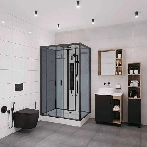 Душевая кабина Niagara Premium NG-6912-01GQL BLACK (1200х800х2100) низкий поддон (16 см) стекло тонированное 69120134GQLBLACK Душевая кабина Niagara Premium NG-6912-01GQL BLACK (1200х800х2100) низкий поддон (16 см) стекло тонированное 69120134GQLBLACK