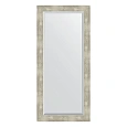 Зеркало в багетной раме Evoform Exclusive BY 1149 51 x 111 см, алюминий Зеркало в багетной раме Evoform Exclusive BY 1149 51 x 111 см, алюминий