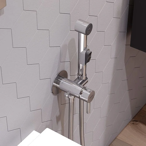 Гигиенический душ Damixa Option 211000000 Гигиенический душ Damixa Option 211000000