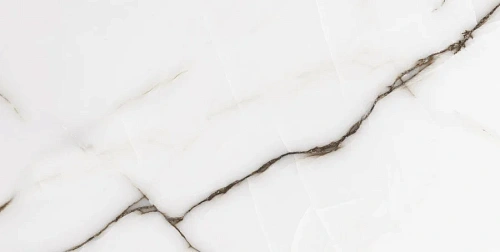 Керамогранит Neodom Onix One Fancy Grey Glossy 60x120 CV20195 Керамогранит Neodom Onix One Fancy Grey Glossy 60x120 CV20195