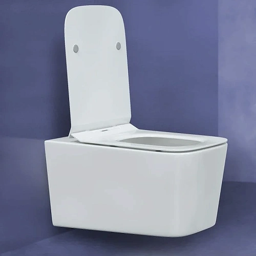 Комплект унитаза BERGES FLOE с инсталляцией NOVUM525, кнопкой L5 Soft Touch черной, сиденье дюроплас 043279 Комплект унитаза BERGES FLOE с инсталляцией NOVUM525, кнопкой L5 Soft Touch черной, сиденье дюроплас 043279