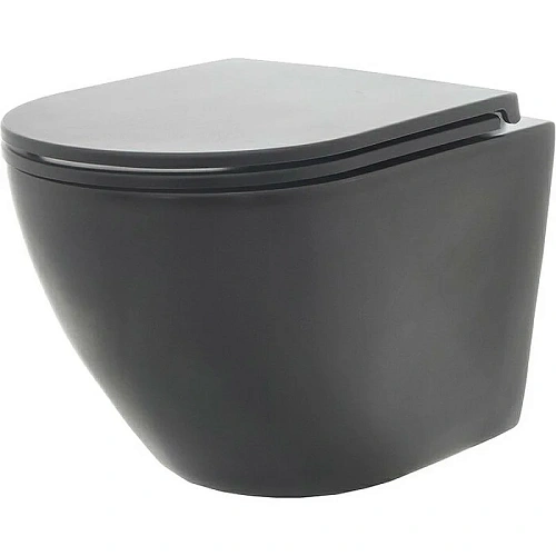 Крышка-сиденье AQUAme AQM1206MB тонкое быстросъемное с микролифтом, цвет черный матовый Крышка-сиденье AQUAme AQM1206MB тонкое быстросъемное с микролифтом, цвет черный матовый