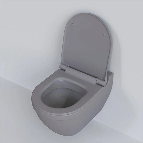 Крышка-сиденье Ambassador Nord 132T20301S (тонкое) серое матовое Крышка-сиденье Ambassador Nord 132T20301S (тонкое) серое матовое