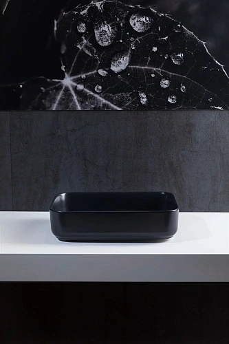 Раковина Allen Brau Fantasy 50 4.11021.31 черный матовый Раковина Allen Brau Fantasy 50 4.11021.31 черный матовый