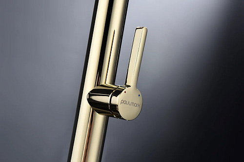 Смеситель для кухни Paulmark Leader золото Le214101-G Смеситель для кухни Paulmark Leader золото Le214101-G