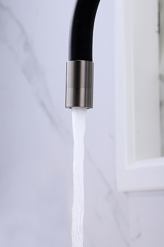 Смеситель для кухни Paulmark Salix вороненая сталь Sa213419-GM Смеситель для кухни Paulmark Salix вороненая сталь Sa213419-GM