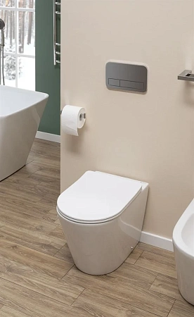 Биде напольное Aquanet Atago 2.0 B1 LX-1057A Биде напольное Aquanet Atago 2.0 B1 LX-1057A