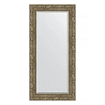 Зеркало в багетной раме Evoform Exclusive BY 3489 55 x 115 см, виньетка античная латунь Зеркало в багетной раме Evoform Exclusive BY 3489 55 x 115 см, виньетка античная латунь