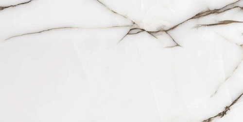 Керамогранит Neodom Onix One Fancy Grey Glossy 60x120 CV20195 Керамогранит Neodom Onix One Fancy Grey Glossy 60x120 CV20195