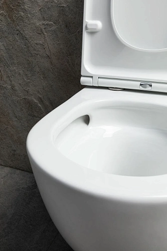 Унитаз подвесной Allen Brau Priority Tornado 4.31008.20 с крышкой, белый глянец Унитаз подвесной Allen Brau Priority Tornado 4.31008.20 с крышкой, белый глянец