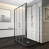 Картинка анонса товара «душевой уголок rgw passage pa-41 p (pa-11 + 2z-050-2) 010841182-011p»