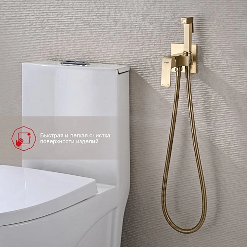 Гигиенический душ Raglo R01.52.03 встраиваемый, золотой сатин Гигиенический душ Raglo R01.52.03 встраиваемый, золотой сатин