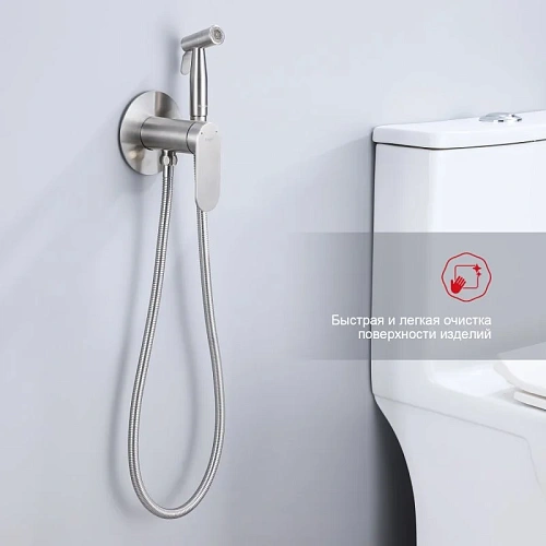 Гигиенический душ Raglo R10.52.05 встраиваемый, сатин Гигиенический душ Raglo R10.52.05 встраиваемый, сатин