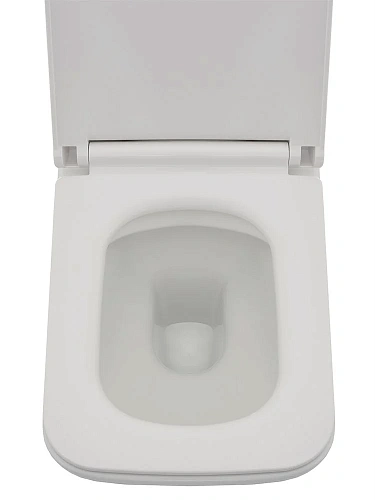 Унитаз подвесной AQUAme AQM2003 с сиденьем SoftClose, технология смыва Rimless, скрытый крепеж 530x3 Унитаз подвесной AQUAme AQM2003 с сиденьем SoftClose, технология смыва Rimless, скрытый крепеж 530x3