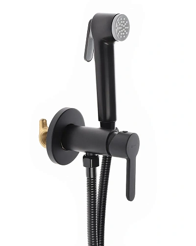 Гигиенический душ Agger Gorgeous A0270044 скрытого монтажа с внутренней частью Гигиенический душ Agger Gorgeous A0270044 скрытого монтажа с внутренней частью