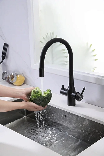 Смеситель для кухни Paulmark SALIX черный Sa213419-BLM Смеситель для кухни Paulmark SALIX черный Sa213419-BLM