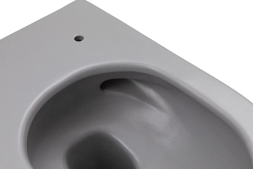 Унитаз подвесной Allen Brau Reality 4.32015.SG сиденье с микролифт серый матовый Унитаз подвесной Allen Brau Reality 4.32015.SG сиденье с микролифт серый матовый